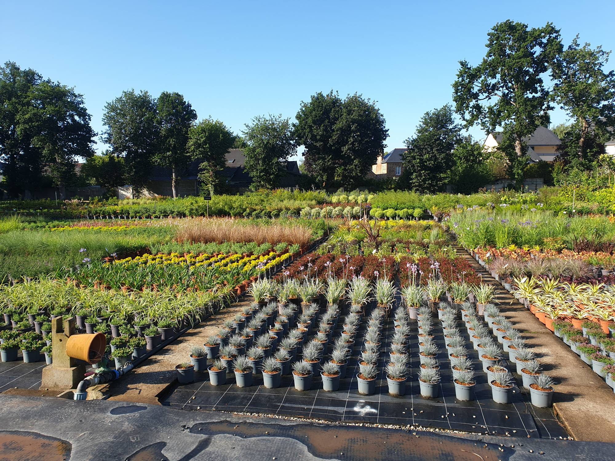 10, 11 et 12 avril 2026