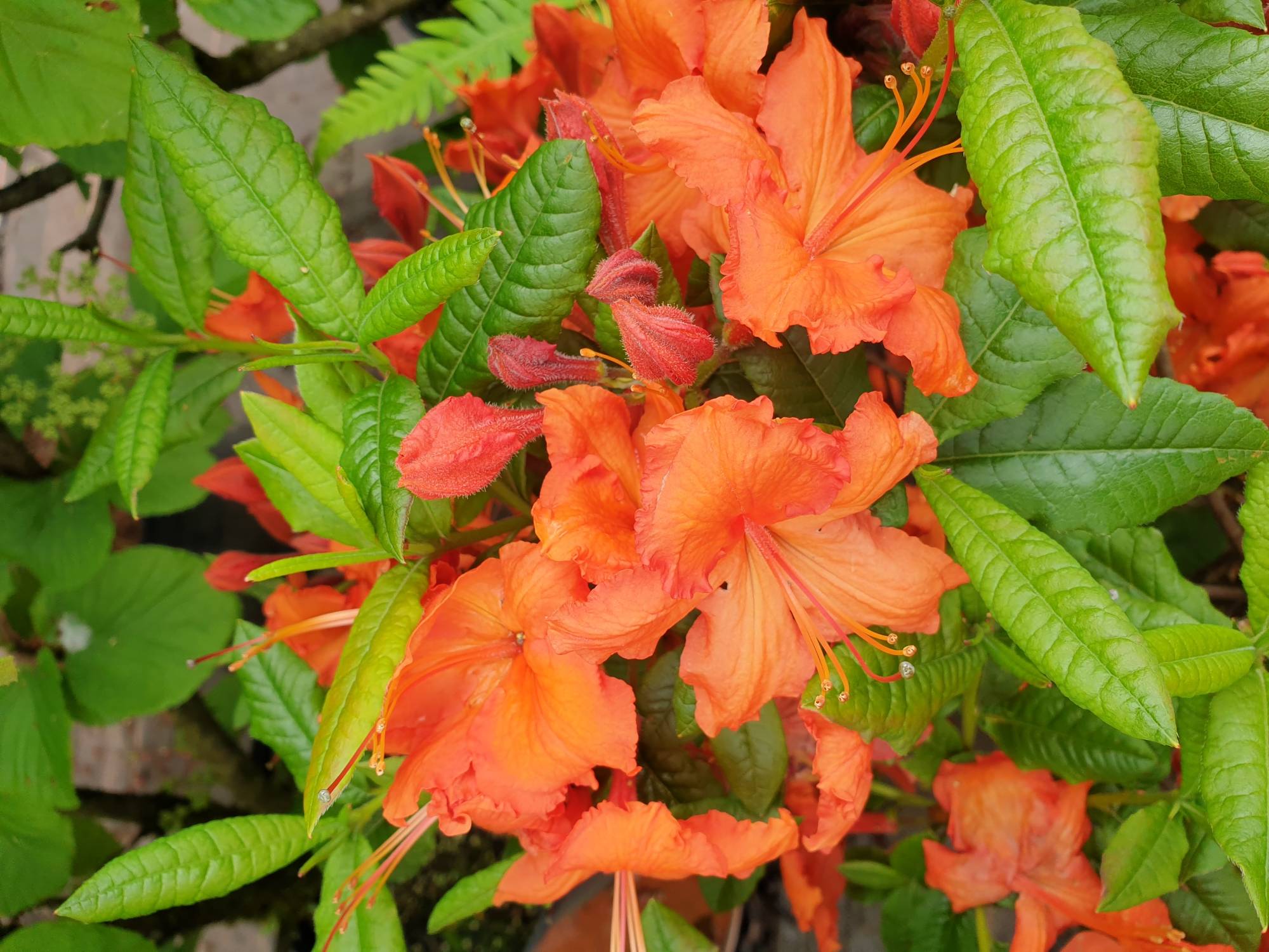 10, 11 et 12 avril 2026